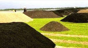 সুনামগঞ্জ সীমান্তে চোরাই কয়লা নিয়ে সংঘর্ষে আহত ৭