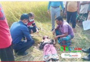 দোয়ারা বাজারে ধানক্ষেত থেকে নৈশপ্রহরীর লাশ উদ্বার