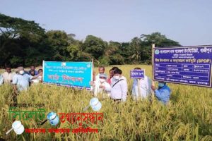 ছাতকে মাঠ দিবস ও কৃষক প্রশিক্ষণ কর্মশালা অনুষ্ঠিত