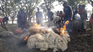 তাহিরপুরে টাঙ্গুয়ার হাওরে কোনা ও কারেন্ট জাল জব্দ
