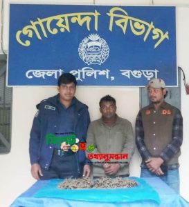 বগুড়ার সোনাতলায় ডিবি পুলিশের অভিযান ০১ কেজি গাঁজাসহ আটক -১
