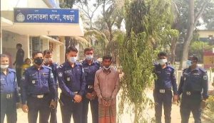 বগুড়ার সোনাতলায় পুলিশের অভিযানে গাঁজার  গাছসহ গ্রেফতার-১