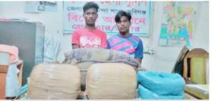 চুনারুঘাটে ডিবি পুলিশের অভিযানে ২৮ কেজি গাজাঁ উদ্ধার আটক ২ :-