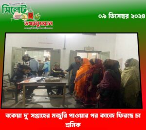 মঙ্গলবার থেকে খুলছে এনটিসি ১৯টি চা বাগান; বকেয়া দু’ সপ্তাহের মজুরি পাওয়ার পর কাজে ফিরছে চা শ্রমিক