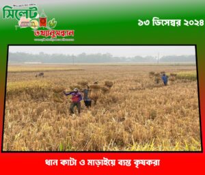 ধান কাটা ও মাড়াইয়ে ব্যস্ত কৃষকরা