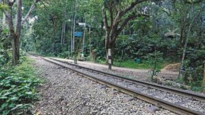সেলফি তুলতে গিয়ে ট্রেনের ধাক্কায় শিক্ষার্থীর মৃত্যু