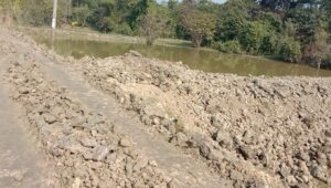 চরমহল্লায় ডুবন্ত বাঁধ নির্মাণে অনিয়মের অভিযোগ