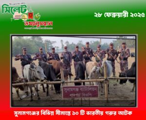 সুনামগঞ্জের বিভিন্ন সীমান্তে ১০ টি ভারতীয় গরুর আটক