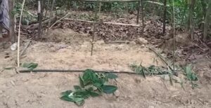 ছাতকে দাফনের পর জনৈক ব্যক্তির কবরের পাশে আগুন!