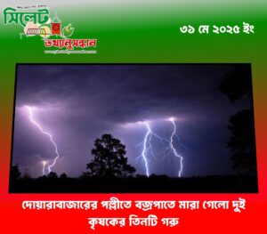 দোয়ারাবাজারের পল্লীতে বজ্রপাতে মারা গেলো দুই কৃষকের তিনটি গরু