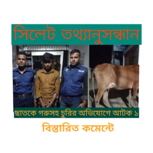 ছাতকে চোরাই গরুসহ ১জনকে আটক করেছে পুলিশ।