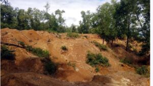 ছাতকে হাদা টিলা ধ্বংসের মহোৎসব: সিন্ডিকেটের দৌরাত্ম্যে হুমকিতে পরিবেশ ও কৃষি